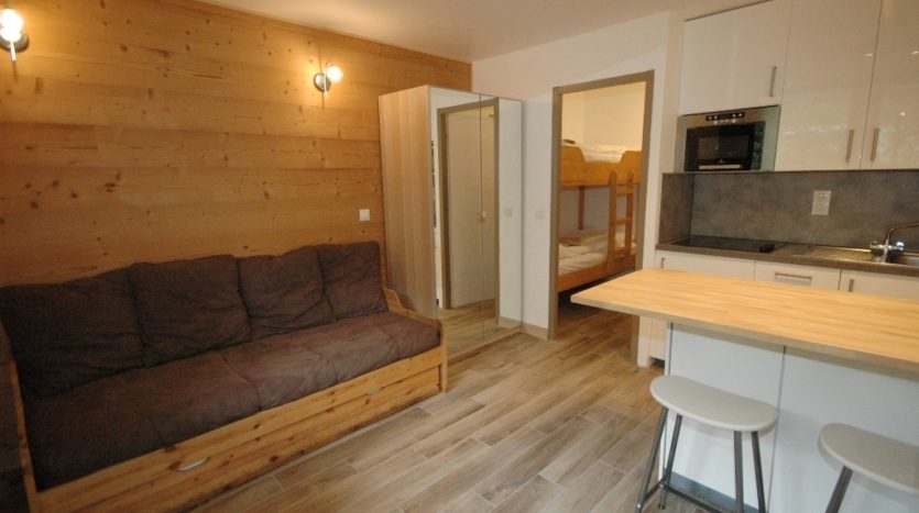 Grepon 4, chamonix accommodation, summer & winter season rental