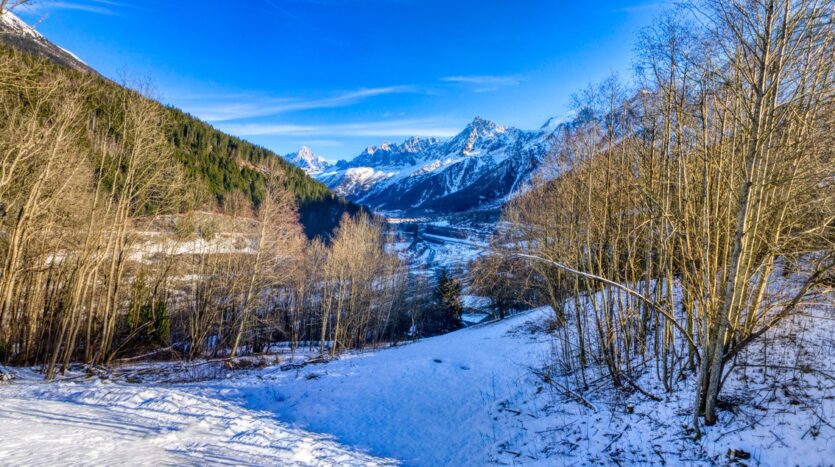 Chamonix winter season rental chalet