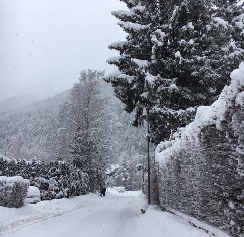 Season rental Chamonix Chalet