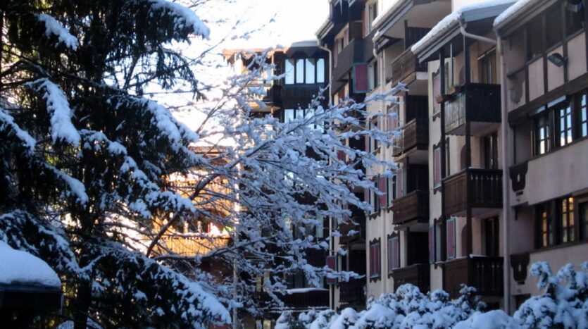 Winter and summer seasonal apartment in Chamonix